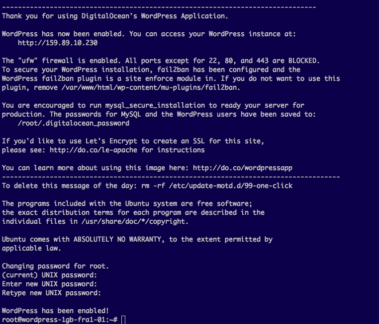 Acceso terminal DigitalOcean